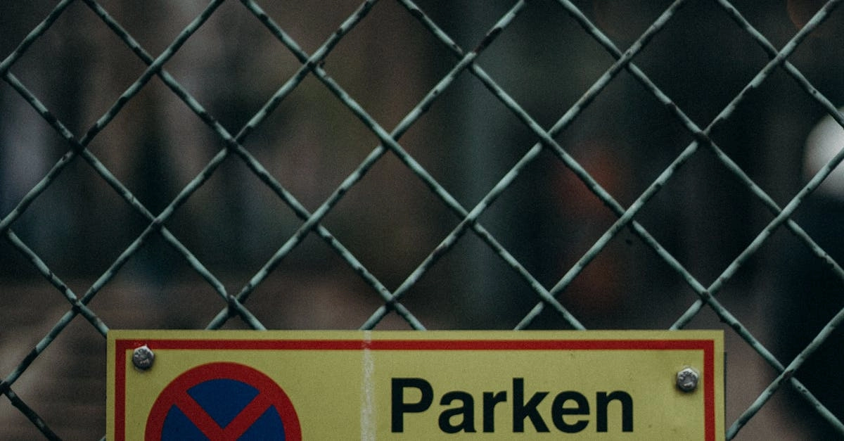 Культурно-историческая трансформация немецких игорных платформ