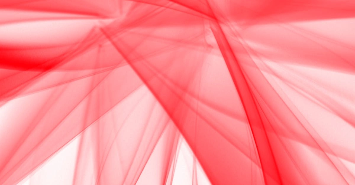 Starlight Princess как явление современной цифровой культуры